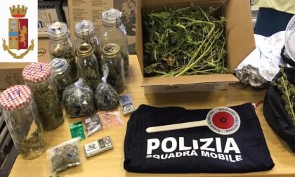 Aveva allestito a Valtesse una serra per coltivare la marijuana. Denunciato 26enne