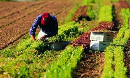 In campagna si è registrato solo lo 0,06 per cento di contagi