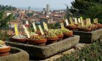 Bergamo vince un bando europeo per le politiche sul cibo