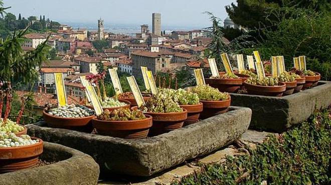 Bergamo vince un bando europeo per le politiche sul cibo