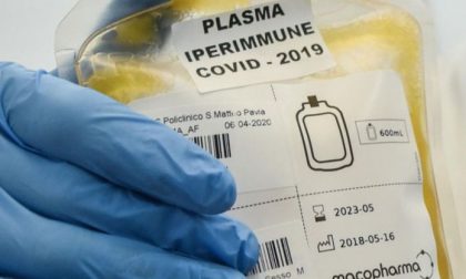 Plasma iperimmune, al Papa Giovanni si sono presentati oltre 1500 possibili donatori