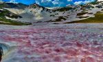 Sopra Valbondione c’è la neve rossa: tutta colpa di un’alga