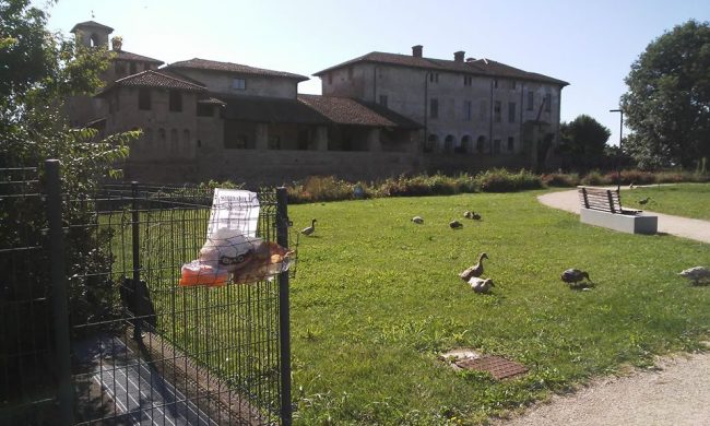 A Pagazzano le oche rischiano l’indigestione