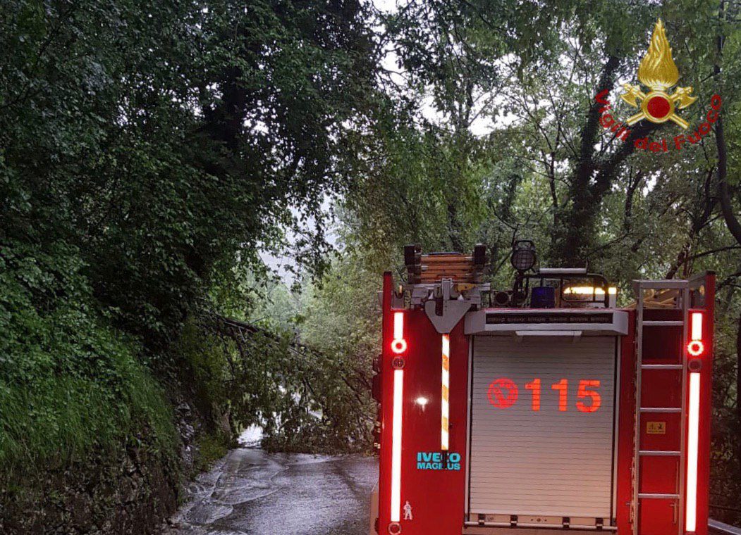 Nembro, albero cade sulla strada per Selvino. Sul posto i vigili del fuoco
