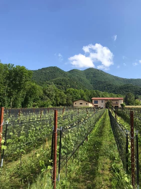 1.650 bottiglie invecchieranno in miniera cinque anni