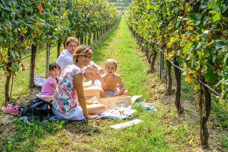Agriturismo, dal picnic in vigna al menù digitale: le idee contadine