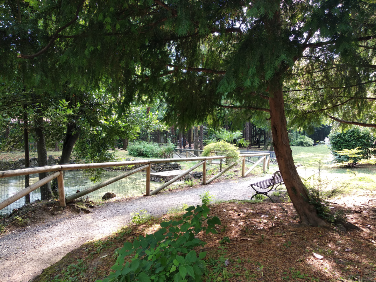 Chiuso fino a venerdì il Parco Marenzi per una serie di test sul cedro al suo interno