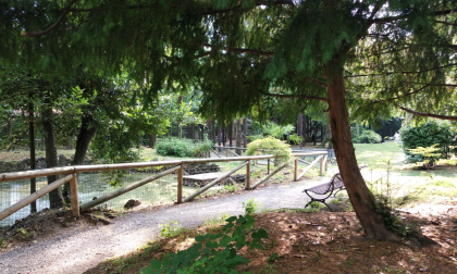 Chiuso fino a venerdì il Parco Marenzi per una serie di test sul cedro al suo interno