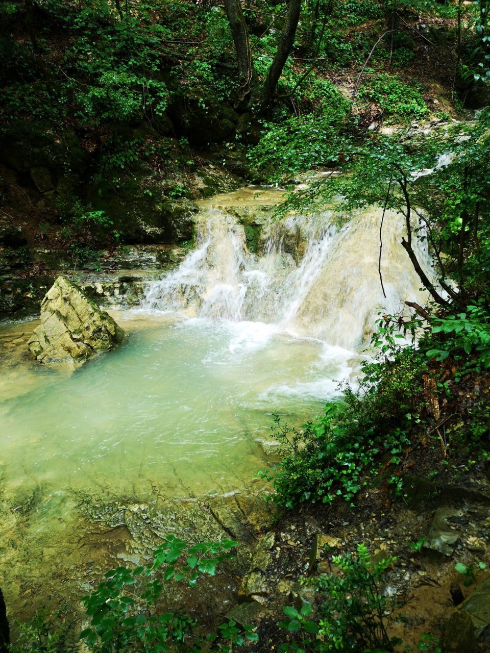Il “bosco incantato” di Monterosso, scoprendo le sorgenti del torrente Tremana
