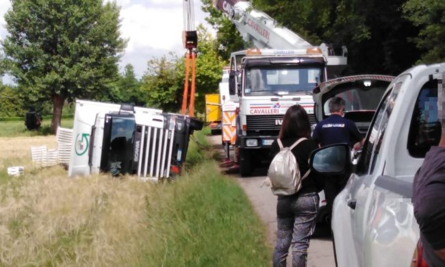 Il camion si ribalta e le piantine da orto finiscono in un campo