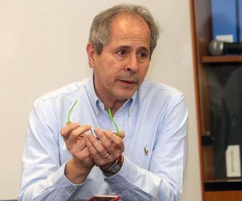 Crisanti in aiuto della Procura: «Se avessimo fatto come ad Alzano sarebbe stata una strage»
