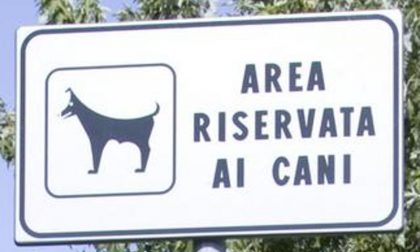 Finalmente le aree cani riaprono anche a Bergamo: aperte dalle 8 alle 20, come i parchi