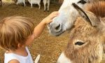 Al via i campi estivi per bambini al Castello di Malpaga, per divertirsi e imparare nella natura