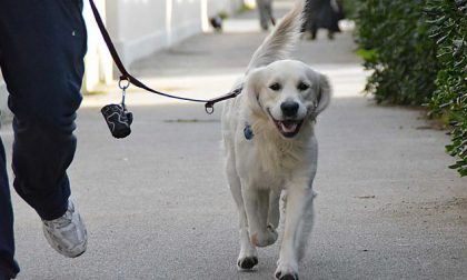 Uomo esce di casa col cane senza mascherina. Insultato e minacciato da una coppia