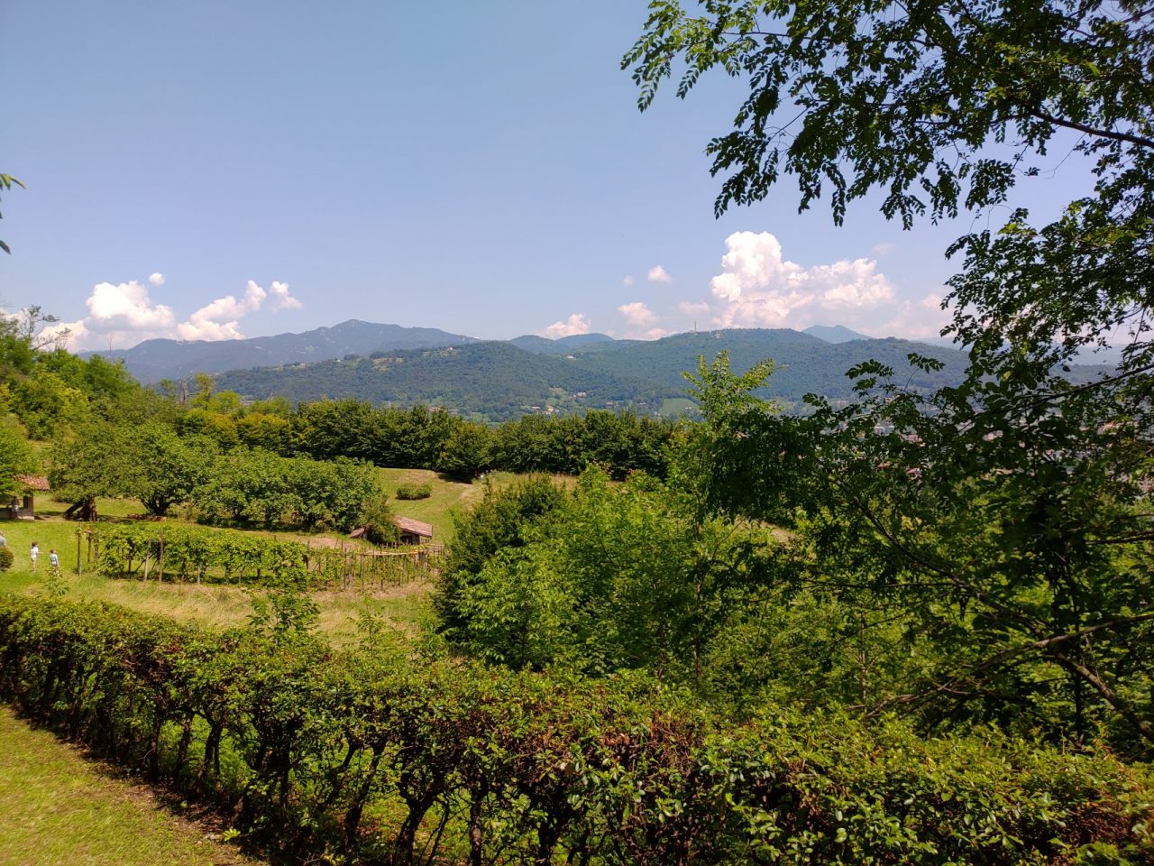 Bergamo ha un nuovo, enorme e bellissimo parco: aperti a tutti i Giardini di Palazzo Moroni