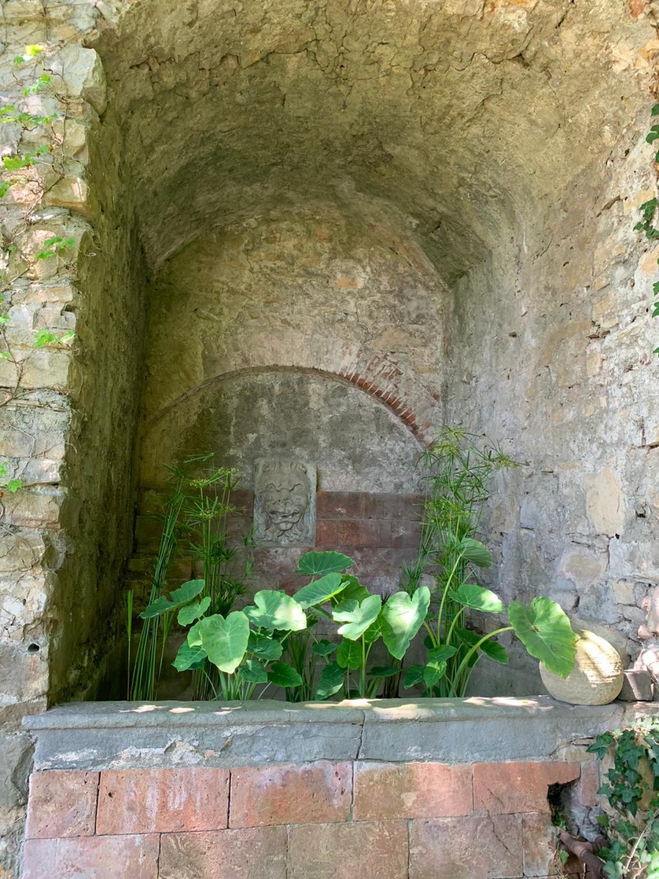 Giardini di Palazzo Moroni Fai (4)