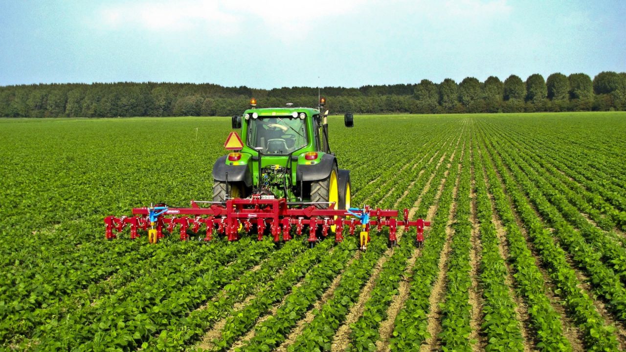 Lo stop imposto agli ingressi in Italia dall’India come influirà sull’agricoltura bergamasca?
