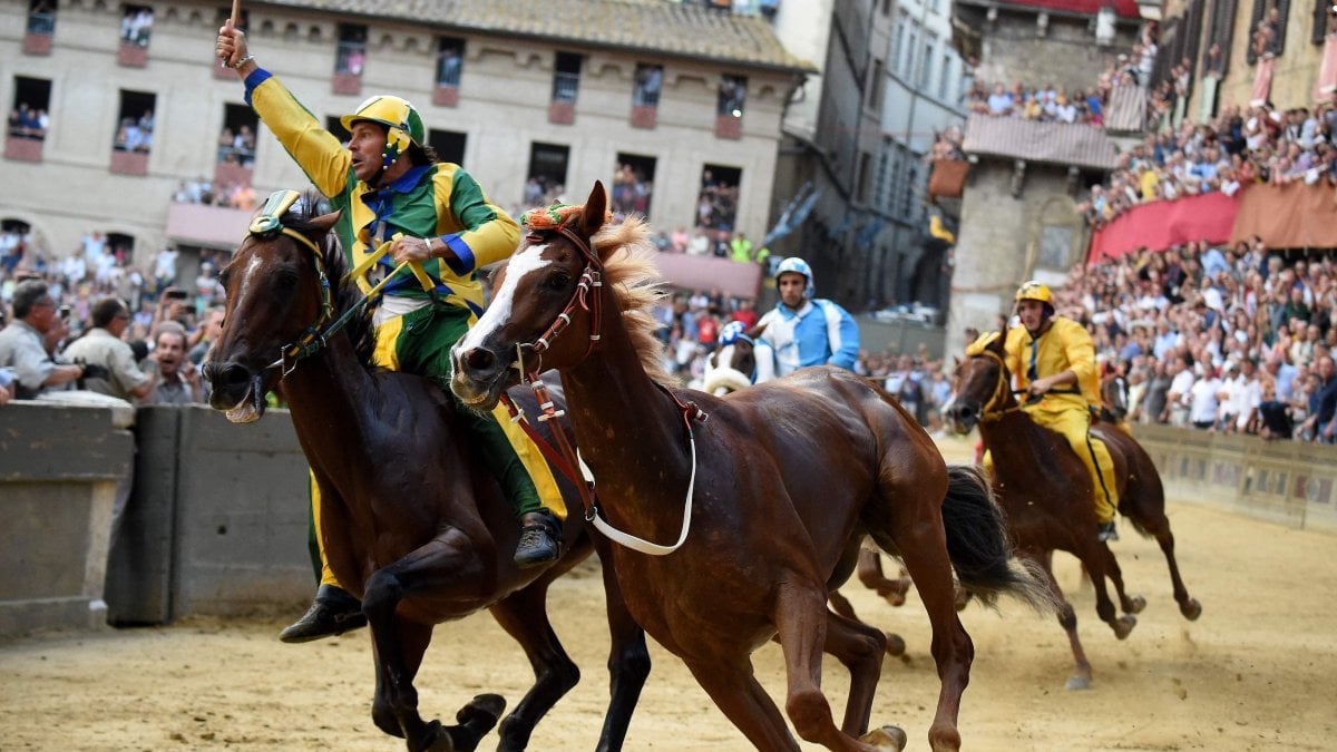 Il Palio come la macellazione islamica: a Siena se la prendono con L’Eco di Bergamo