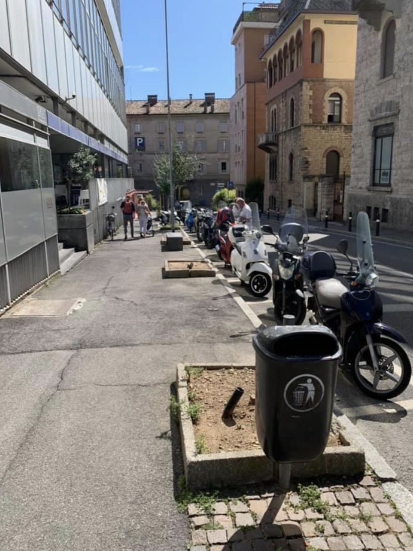 Taglio degli alberi in via Piccinini, l’assessore Marchesi: «Saranno sostituiti in autunno»