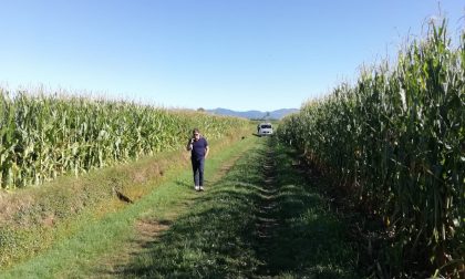 Nella campagna tra Urgnano e Ghisalba ritrovato il corpo senza vita di un uomo
