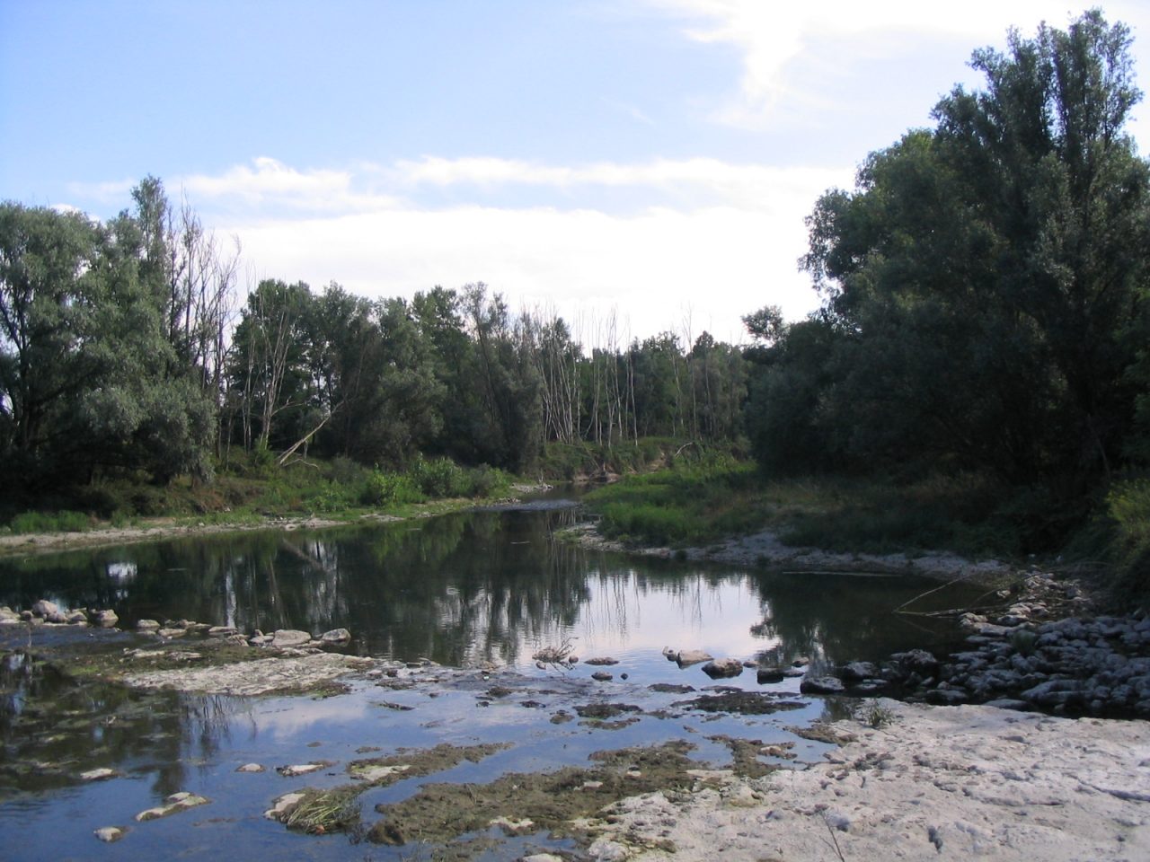 Parco del Serio, dalla Regione oltre 21 mila euro per il contenimento del pesce siluro