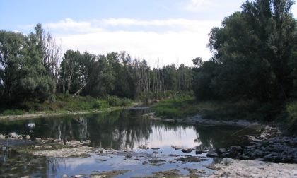 Parco del Serio, dalla Regione oltre 21 mila euro per il contenimento del pesce siluro