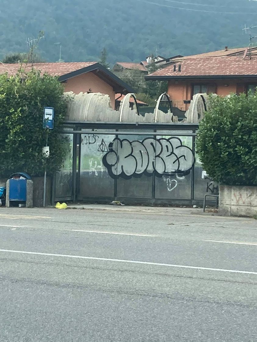 Vigano, il tetto della pensilina distrutto dalla grandinata. Chi lo sistema?