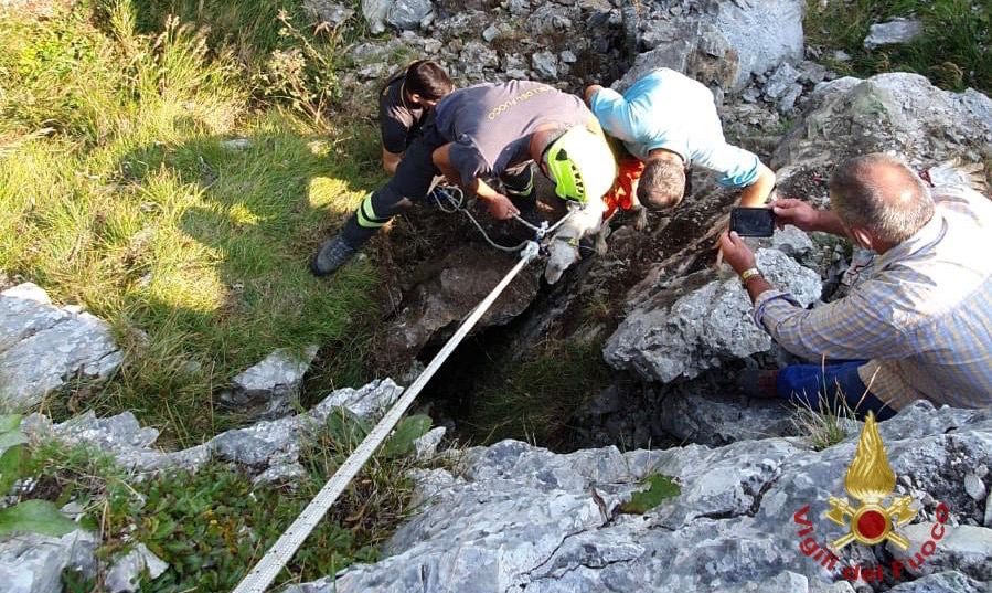Lieto fine per il setter Billy: cade in una buca a sei metri di profondità ma viene salvato