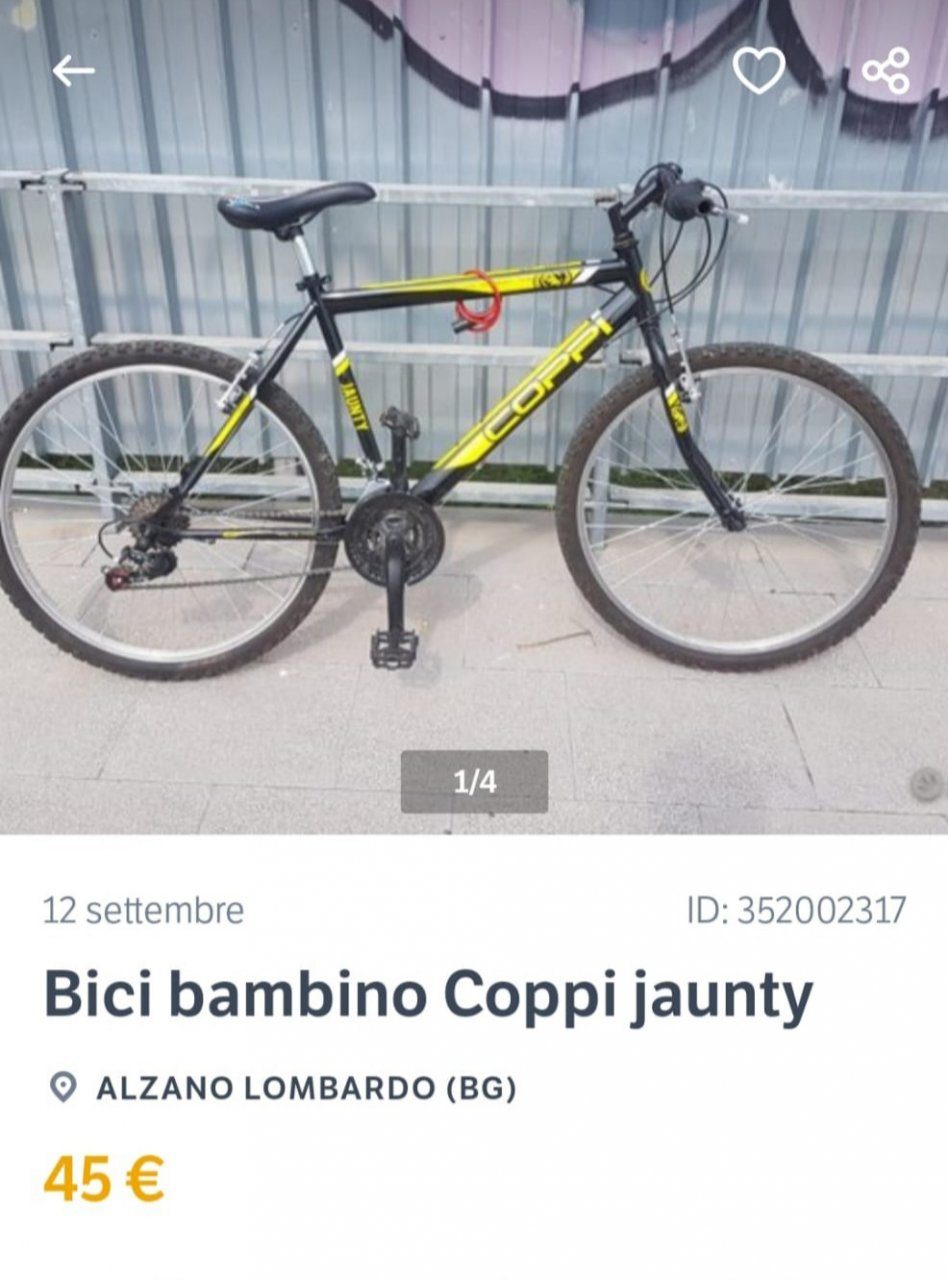 Beccati i ladri delle bici di Nembro: sono due 14enni (di buona famiglia) di Alzano
