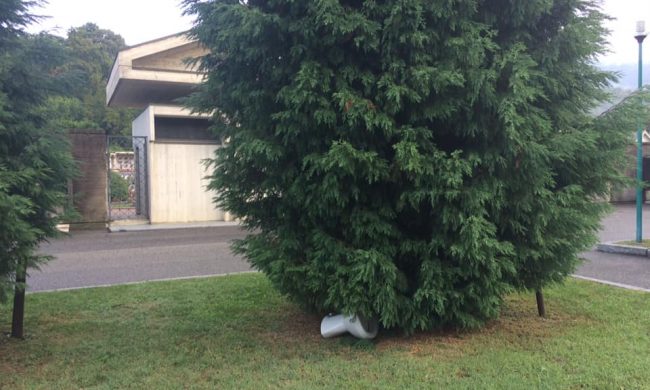 Abbandonano un water proprio davanti al cimitero di Cisano. La rabbia del sindaco