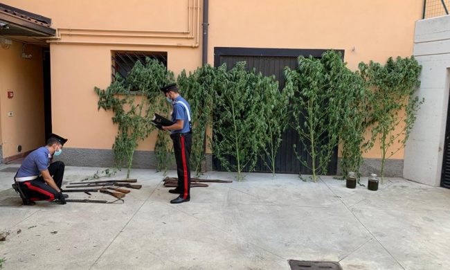 Minaccia giardiniere con un fucile e in casa nasconde armi e droga: in manette un 56enne