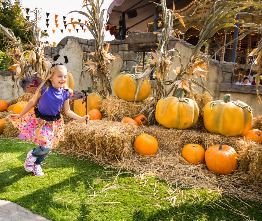 A Leolandia è già tempo di Halloween. No, non è uno scherzetto
