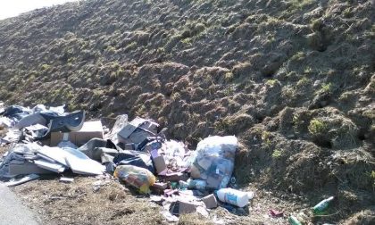 Tutti quei rifiuti abbandonati lungo la strada provinciale 91, da Grumello a Seriate