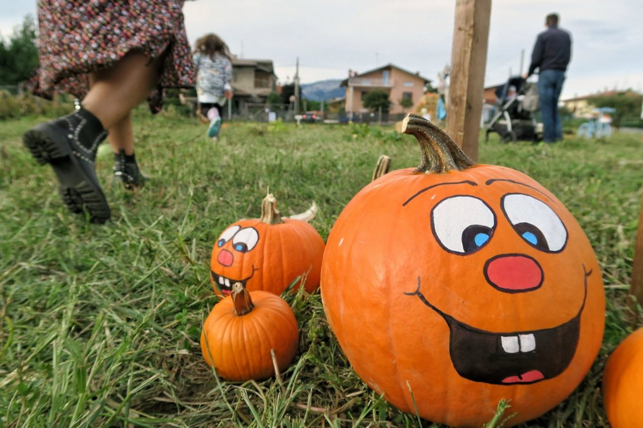 La versione autunnale di Tulipania, paradiso delle zucche di Halloween