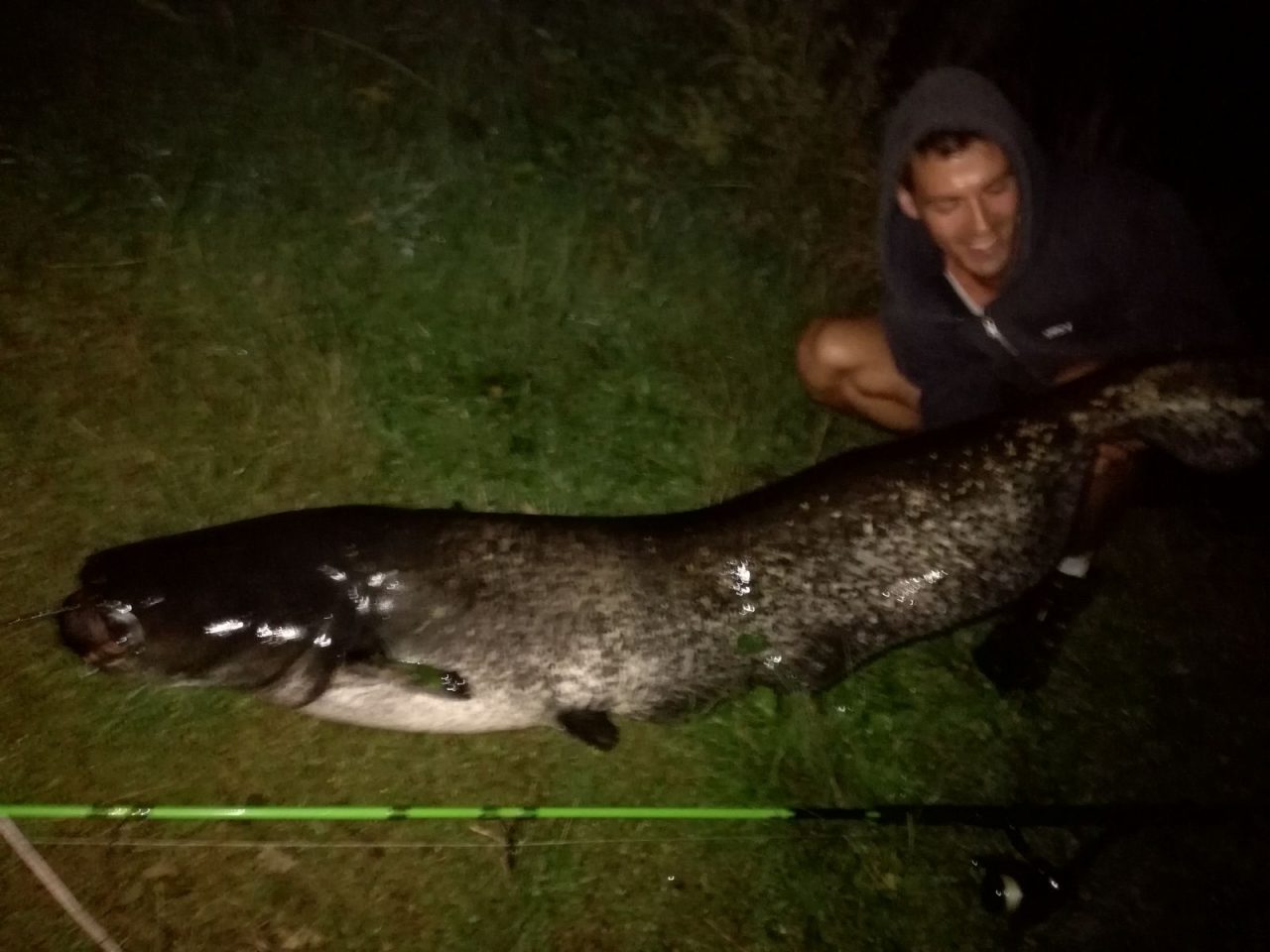Il Parco Adda Nord dichiara guerra al pesce siluro. In campo (anzi, in acqua) pure i sub