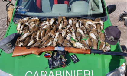 Abbatte 73 tordi con richiami illegali, nei guai un 60enne della Val Brembana
