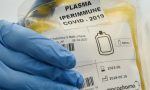 Che fine ha fatto il plasma iperimmune? In Bergamasca già 100 sacche (ma non è una panacea)