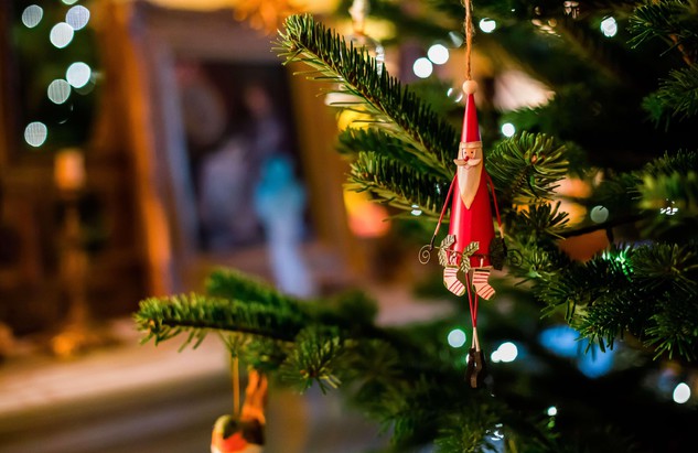 La Val Seriana dona l’abete di Natale a Bergamo: «Simbolo di forza e vicinanza»