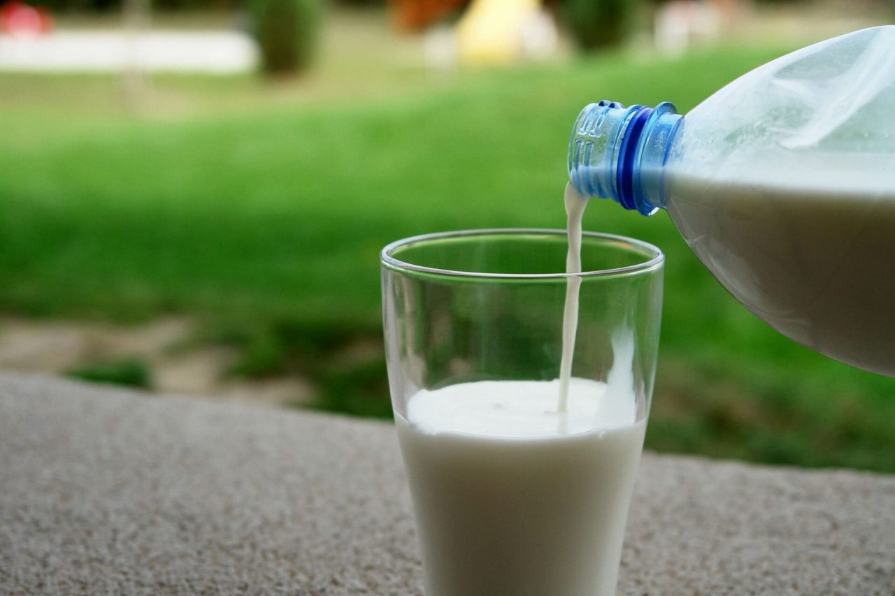 Costi troppo alti e prodotti sintetici minacciano la produzione di latte in Bergamasca