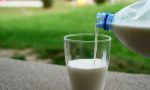 Costi troppo alti e prodotti sintetici minacciano la produzione di latte in Bergamasca