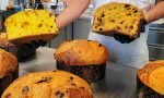 Il panettone da campione? Tradizionale, ma anche strano. Tipo basilico e limone