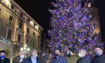 A Bergamo si accende la magia del Natale: ecco le luci multicolori dell'abete Natalino