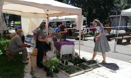 Al mercato di Monterosso arriva la "Spesa SOSpesa", per aiutare le famiglie del quartiere