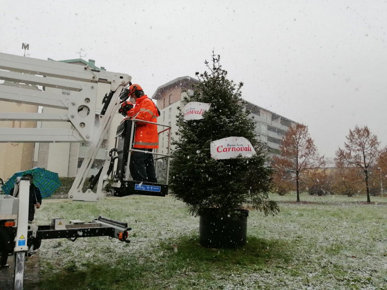 Albero di Natale di quartiere in via Carnovali: tutti possono addobbarlo