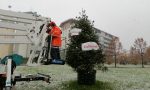 Albero di Natale di quartiere in via Carnovali: tutti possono addobbarlo
