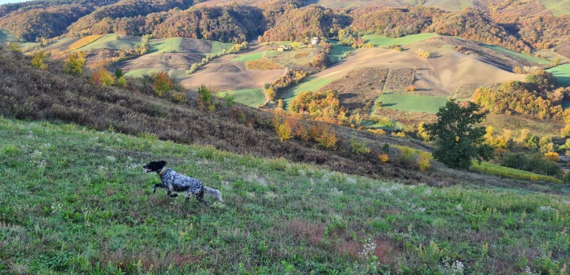 Caccia e pesca, da oggi si può