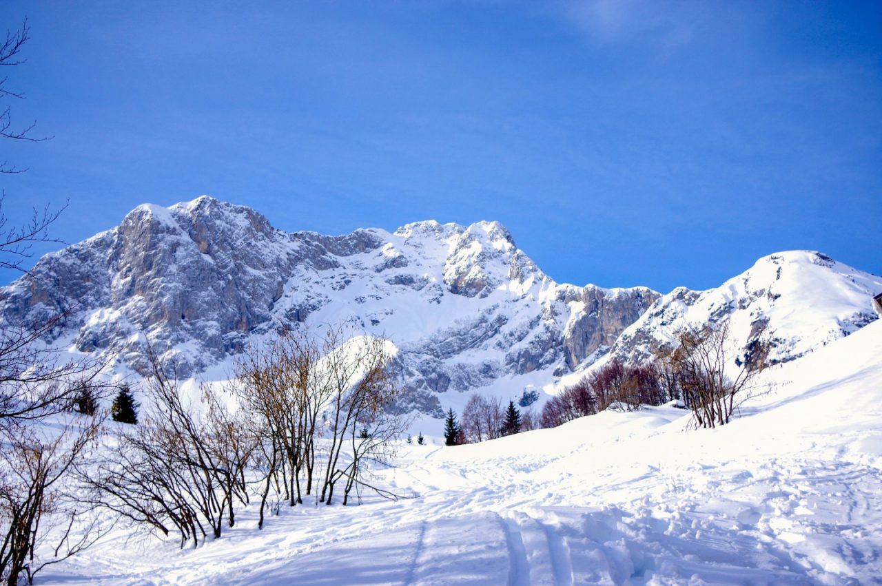 Ora che diventeremo zona gialla, vi consigliamo di andare a scoprire il lago Branchino