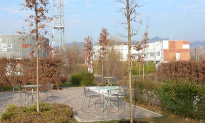 Al via i lavori del giardino de I Maestri del Paesaggio all'ospedale Papa Giovanni