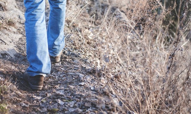 Litiga con la moglie e percorre 450 chilometri a piedi: multa di 400 euro