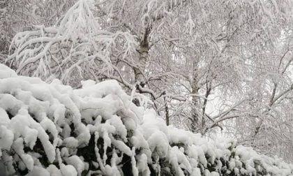 La «sciabolata artica» ci porterà la neve